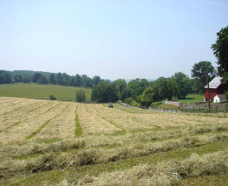 Portion of the Brandywine Battlefield landscape
