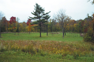 View of former cabin area